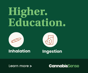 CannabisSense Higher Education banner 300x250 1